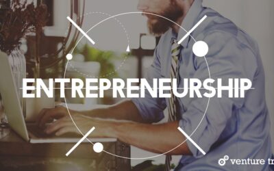 How to Divide Responsibilities in Your Startup