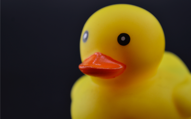 The Rubber Duck Method: What is the explanation behind this debugging approach?