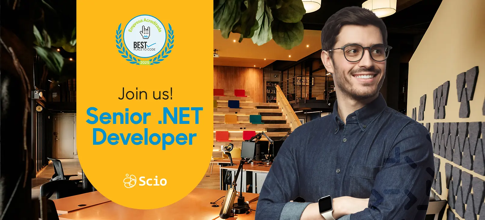 vacante-Senior .NET Developer-web